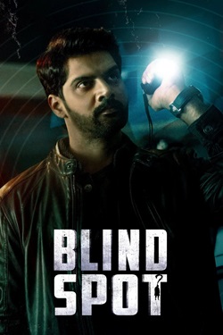 Blind Spot (2025) Full Movie Original Hindi Dubbed WEBRip ESubs 1080p 720p 480p Download